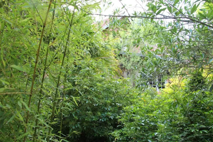 Les Jardins Carnot