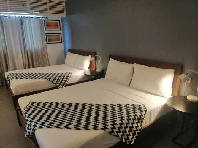Treetop Suites