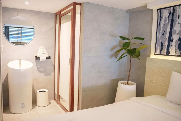 Deluxe Double room with city view