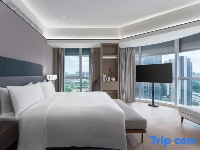 Deluxe Double Suite with city view