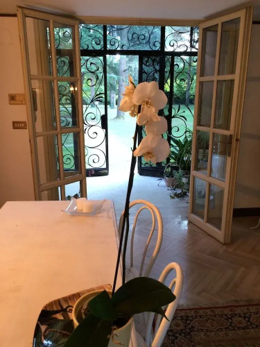 Venezia & Relax