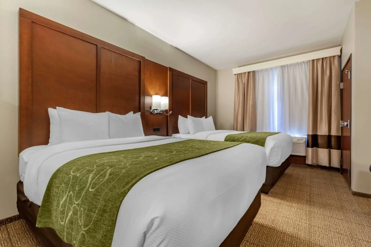 Quadruple Suite