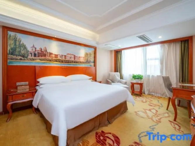 1 Bedroom Suite