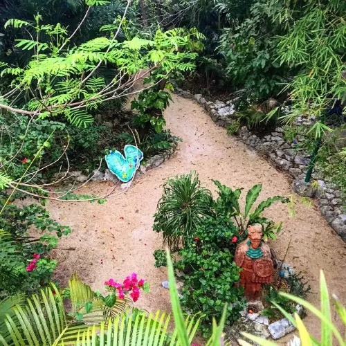El Jardin De Frida
