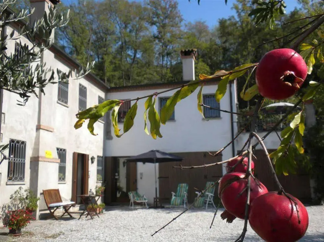 Home Life Bed Colli Euganei