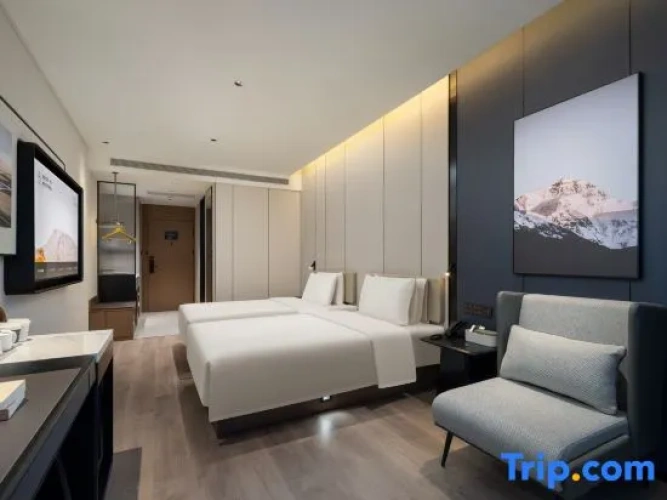Executive Twin room