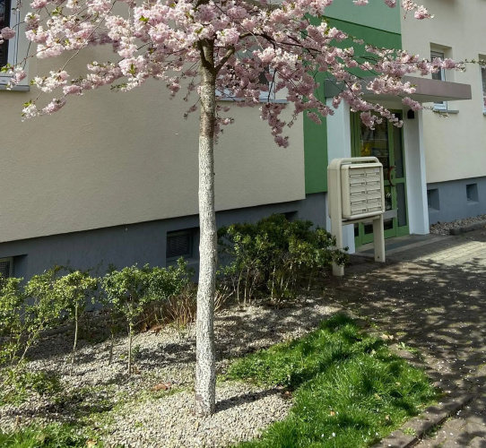 Schöne kleine Wohnung