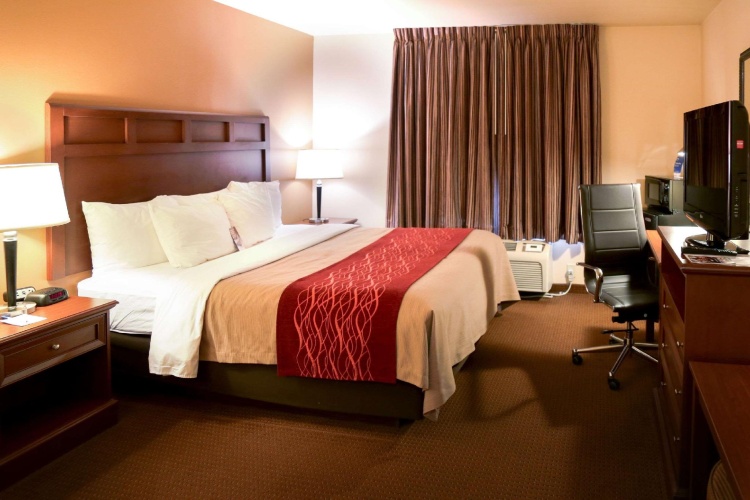 1 Bedroom Standard room