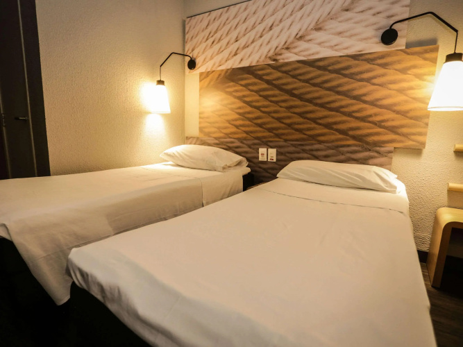 Ibis Teresina