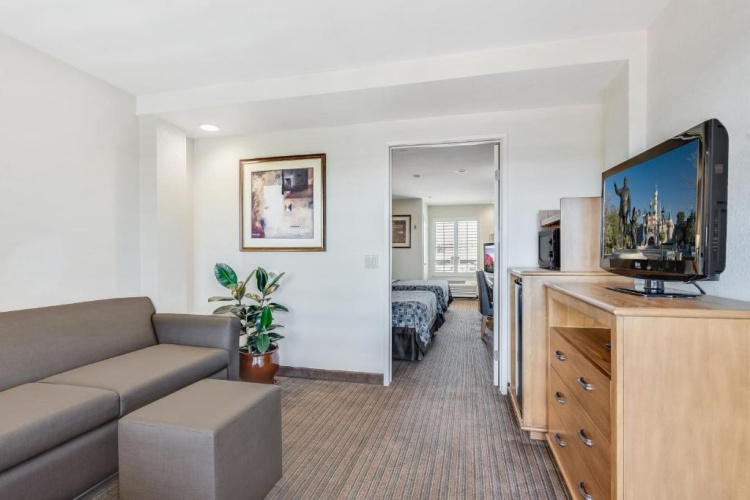 Executive Quadruple Suite