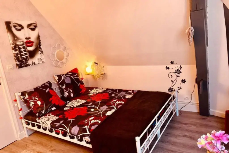 Appart "Cocon" - Centre-ville - 5 min Château Blois - Sweet Home Company