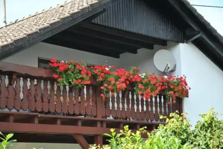 Ferienwohnung Berens