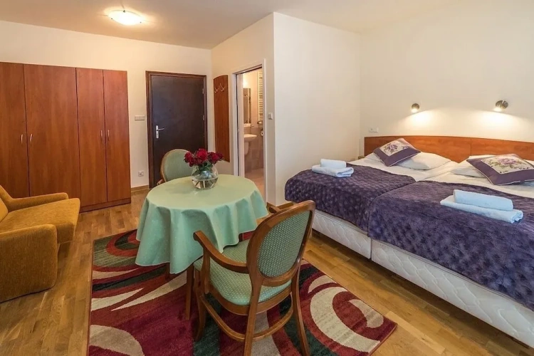 1 Bedroom Comfort Double room