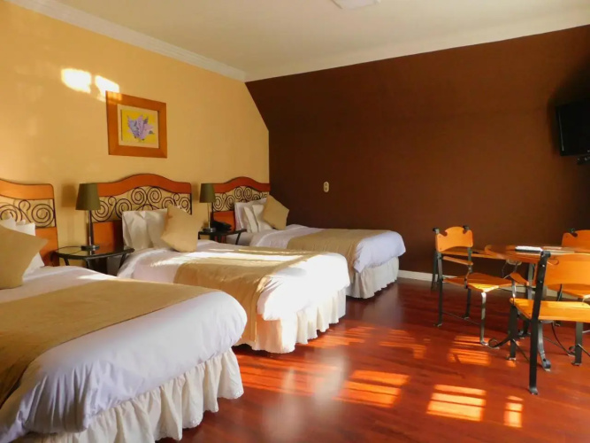 Hotel Boutique Velvet 375