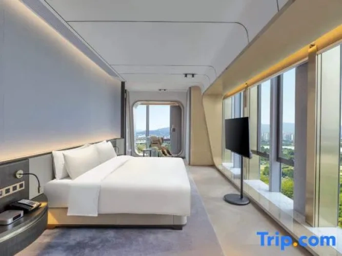 Presidential Single Suite