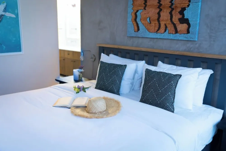 Luxury Apartment