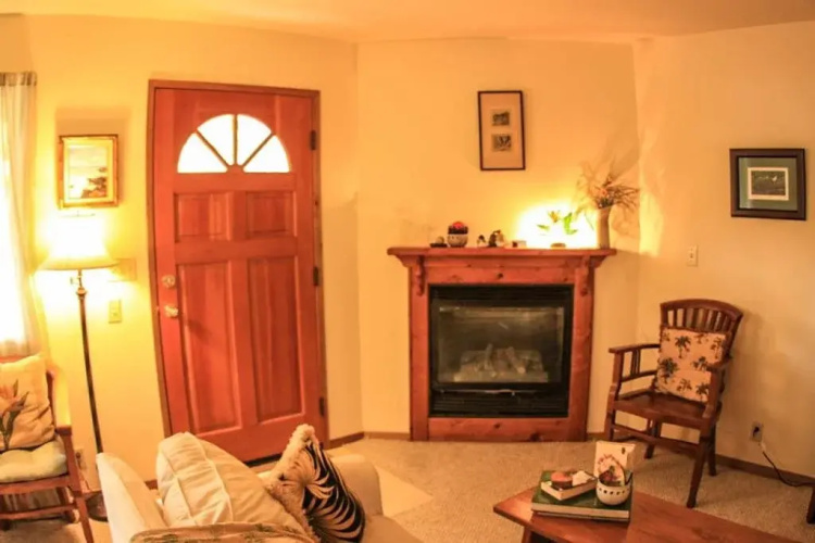 Cymbidium Cottage