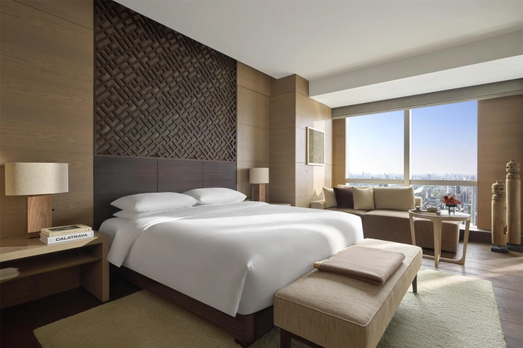 Deluxe Double Suite with city view