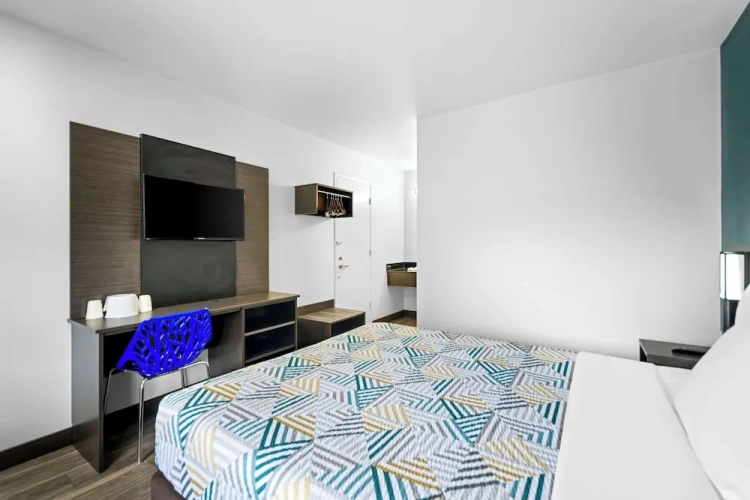 Standard Double Suite