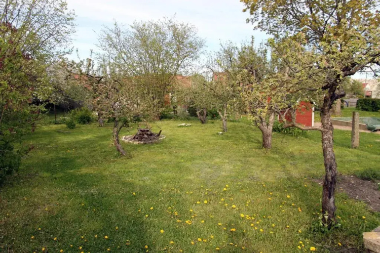 Lapmanni Holiday Home