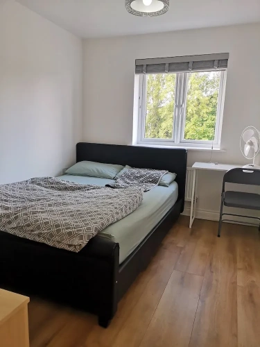 Deluxe Double room with garden view