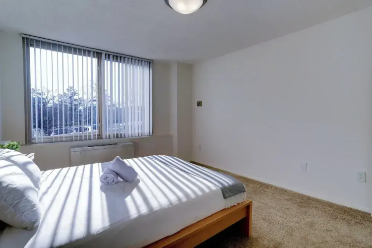 Spacious 2BR Apartment in Crystal City