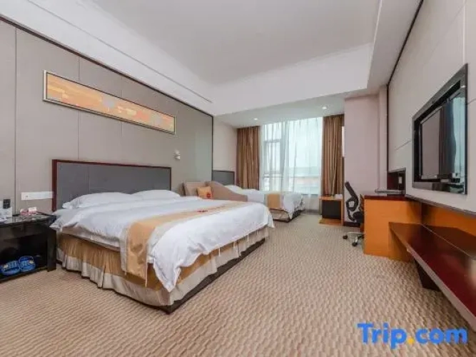 Deluxe Twin room with city view