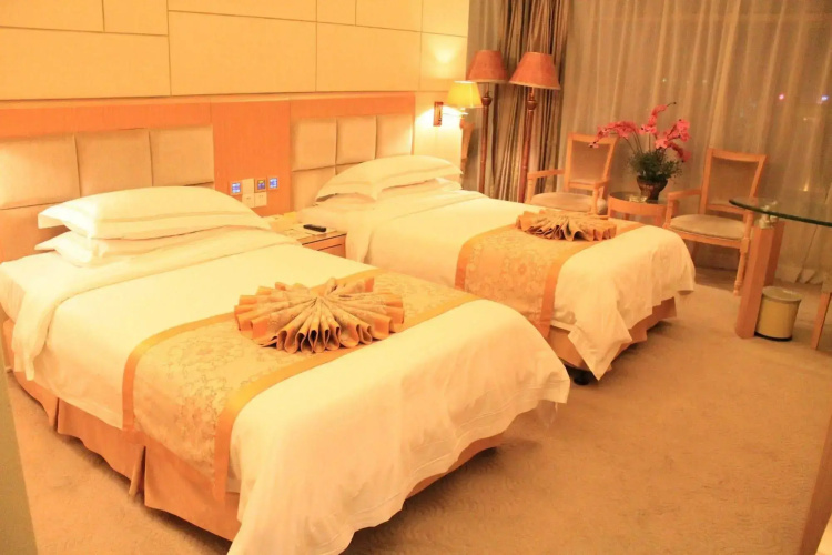 Vienna Hotel Shajing