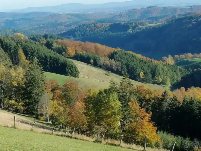Uitzicht op de Bergen