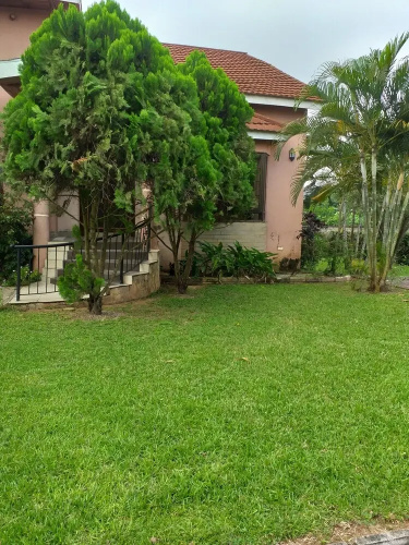 Three Palms