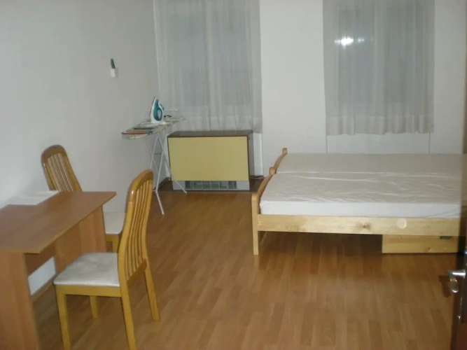 1 Bedroom Apartment with city view
