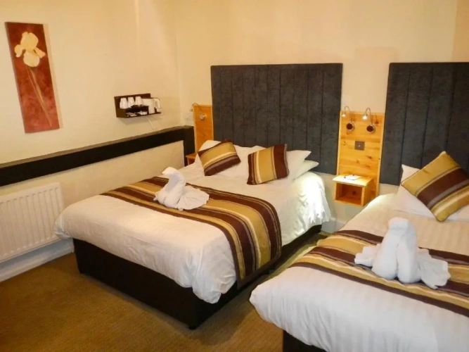 Standard Twin room