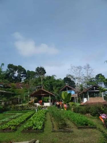 Menoreh Farm Stay Samigaluh Kulonprogo
