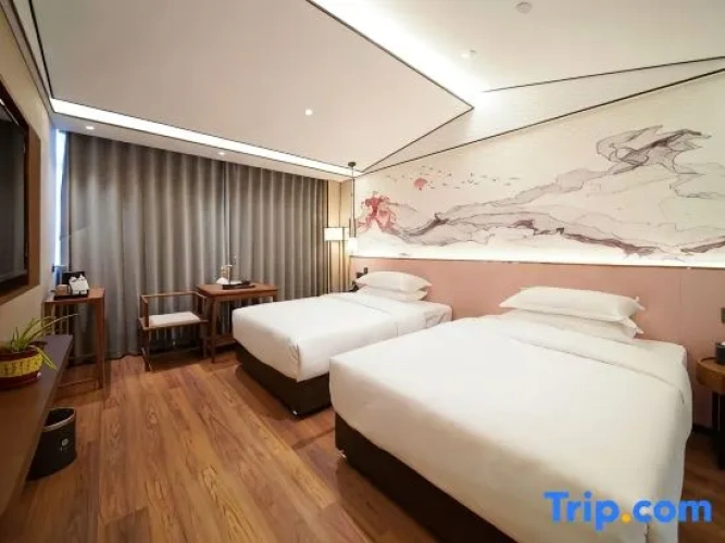 Standard Twin Family room