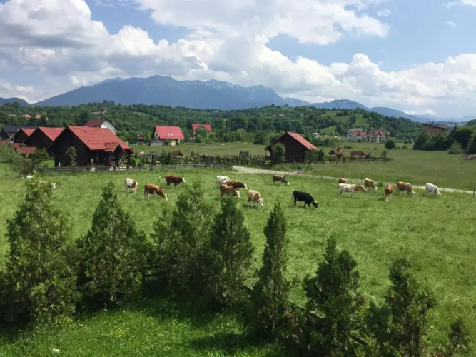 Bran White Clouds House Transylvania