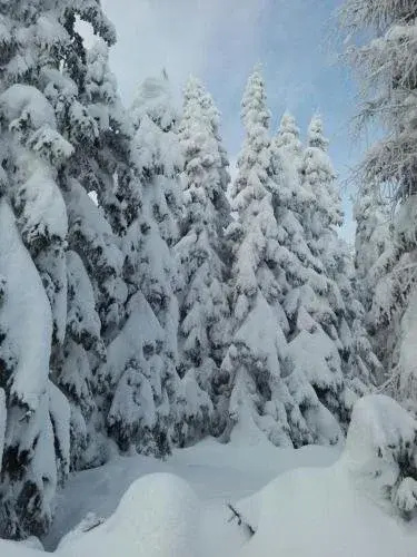 Zimmer im Lungau