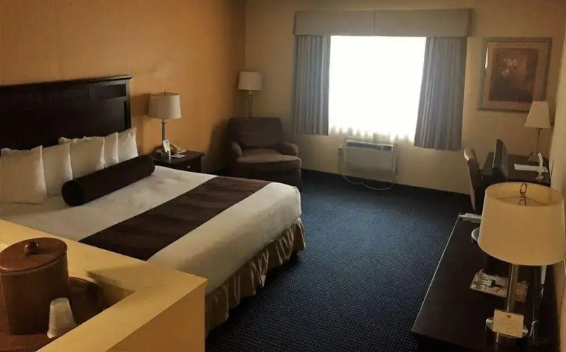 The Avenue Hotel