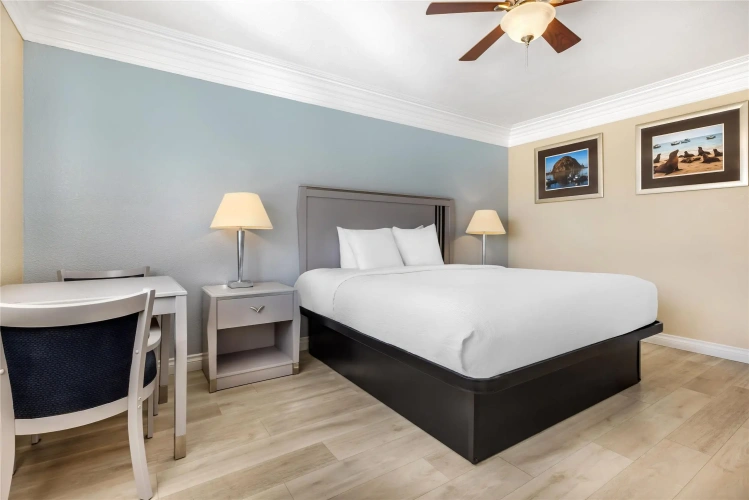 Standard Double room with ocean view