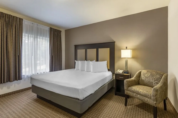 Luxury Double Suite