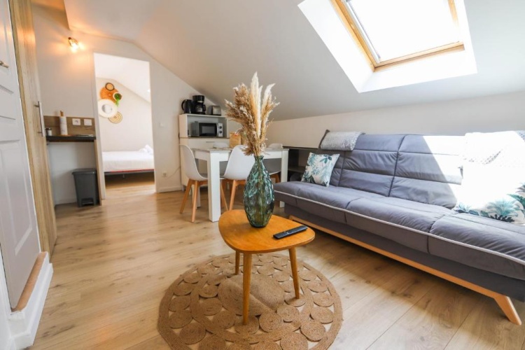 1 Bedroom Apartment