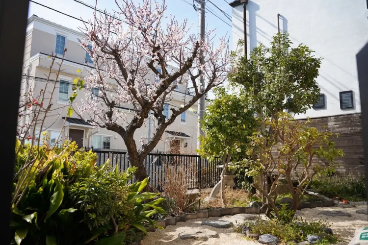 Shimokitazawa Akima