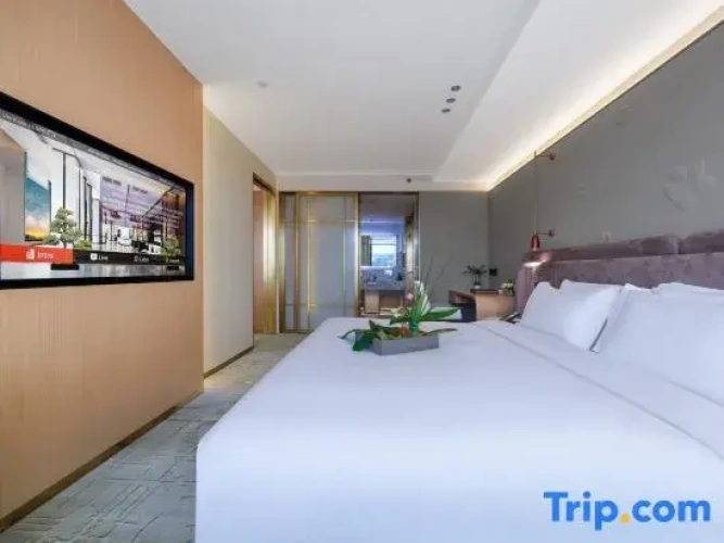 Executive Double Suite