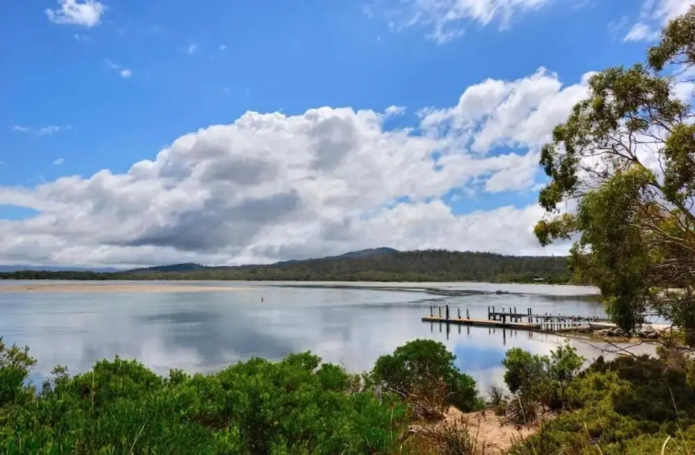 Swan Cove