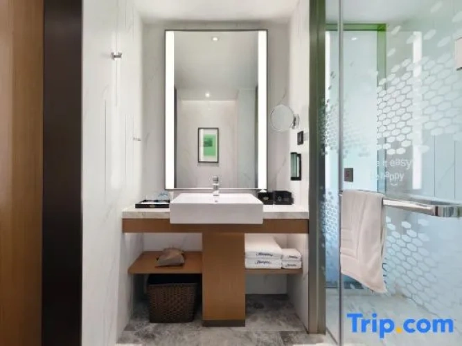 Deluxe Double room with city view