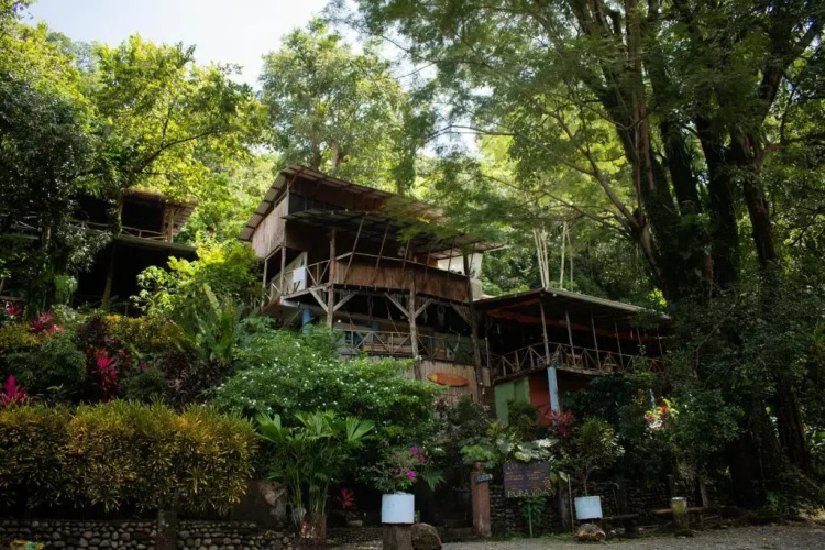 Hostel Plinio