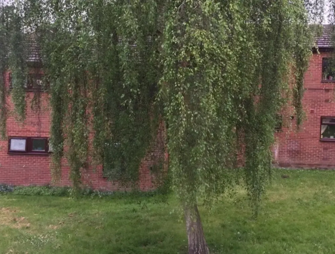 Old Palace Budget Rooms