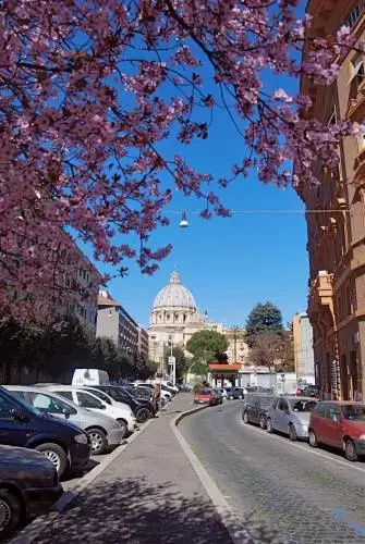 The Jewel Vatican