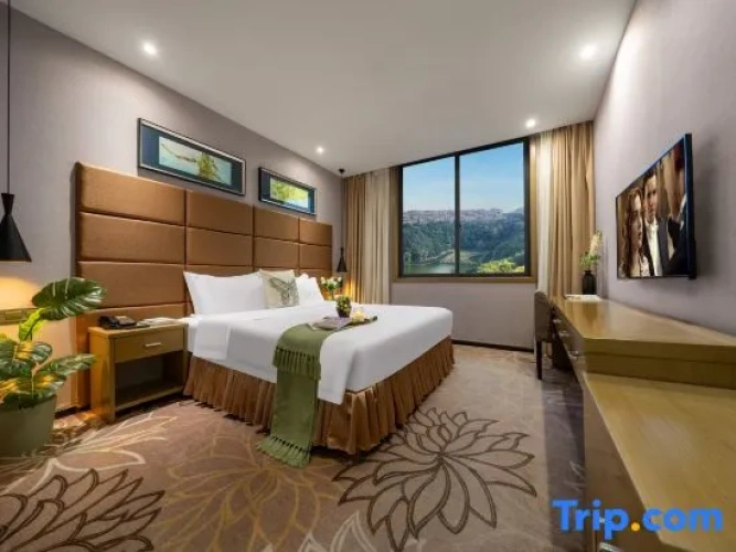 Standard Double room with lake view