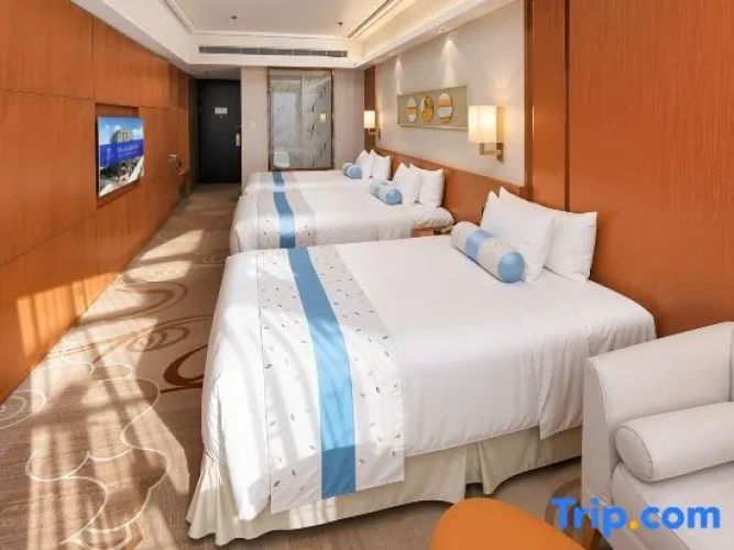 Deluxe Single room