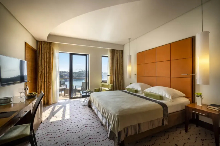 Premium Double room with balcony and with view